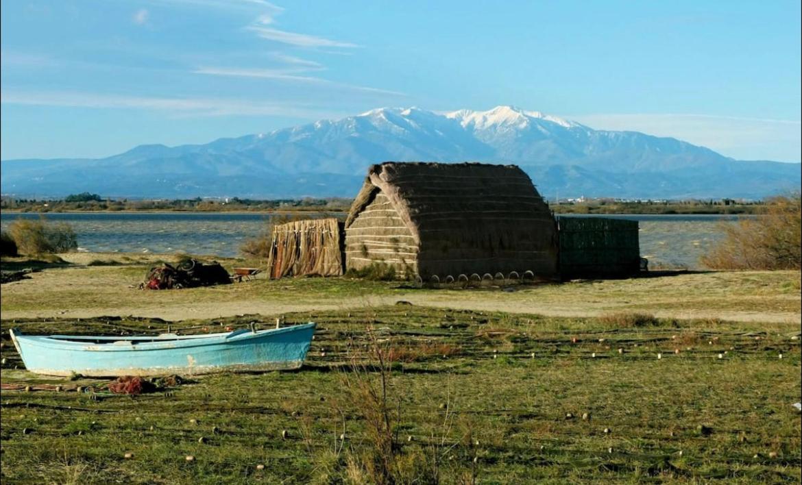 À 200m de la mer super logement Cocoon  Canet-en-Roussillon Esterno foto